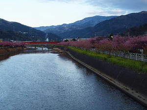 P2184190shuusei.JPG