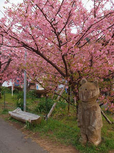 P2184198shuusei.JPG