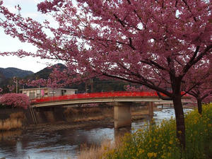 P2184203shuusei.JPG