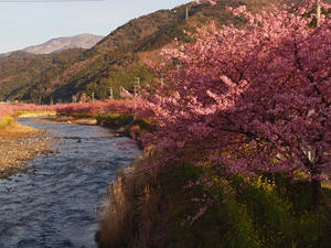 P2184268shuusei.JPG