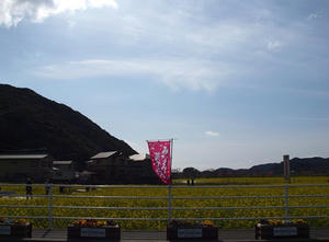 P2184341shuusei.JPG