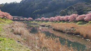 P2184317shuusei.JPG