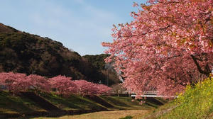 P2184332shuusei.JPG