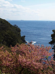 P2184507shuusei.JPG