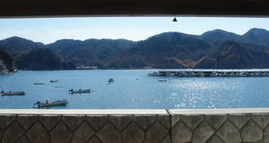 P2184558shuusei.JPG