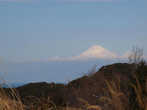 P2184580shuusei.JPG