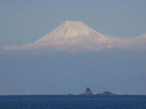 P2184587shuusei.JPG