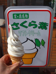 P2184607shuusei.JPG