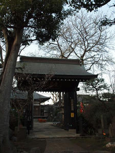 P3205582shuusei.JPG