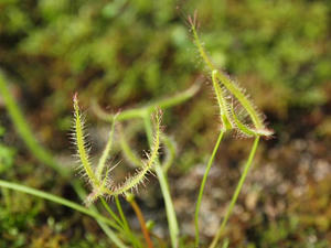 P2184720shuusei.JPG