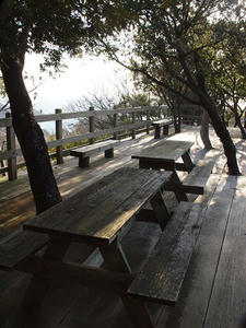 P2184791shuusei.JPG