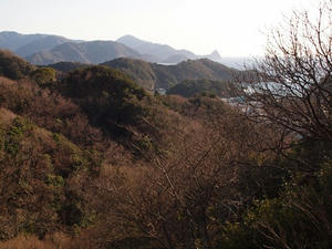 P2184790shuusei.JPG