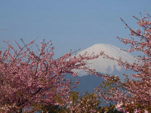 P2225019shuusei.JPG