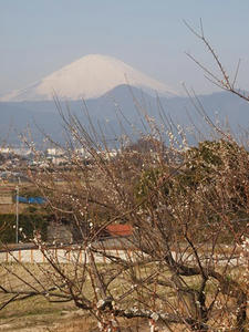 P2225149shuusei.JPG