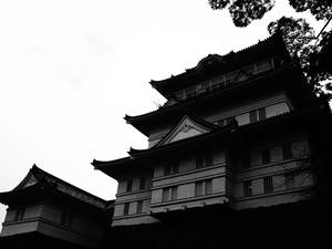 P2225396shuusei.JPG