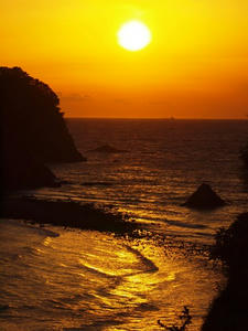 P2184857shuusei.JPG
