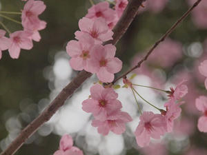 P3225606shuusei.JPG