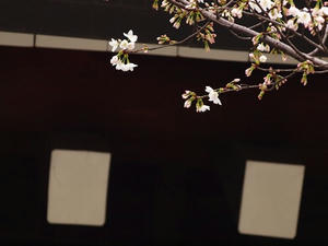 P3225626shuusei.JPG