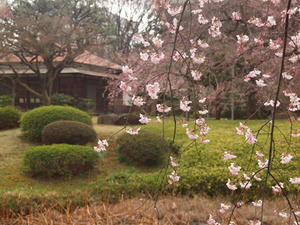 P3225711shuusei.JPG