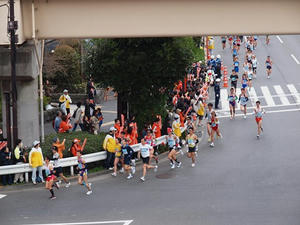 P3225676shuusei.JPG