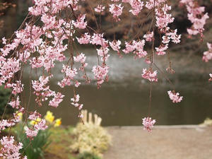 P3225688shuusei.JPG