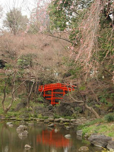 P3225703shuusei.JPG