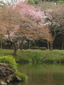 P3225739shuusei.JPG