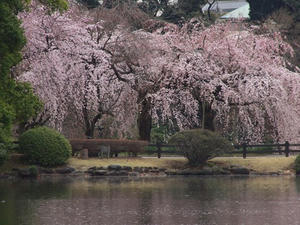 P3225971shuusei.JPG