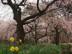 P3225943shuusei.JPG