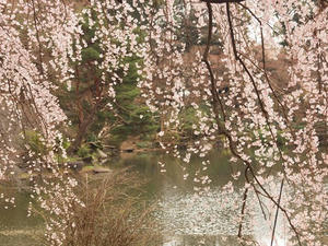 P3225933shuusei.JPG