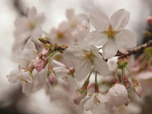 P3225828shuusei.JPG