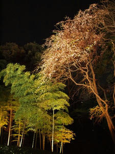 P3246122SHUUSEI.JPG