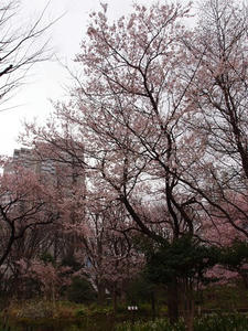 P3266278shuusei.JPG