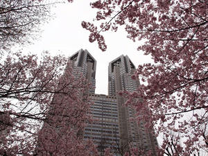 P3266288shuusei.JPG