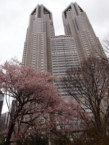 P3266306shuusei.JPG