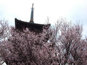P3276734shuusei.JPG