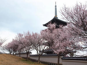 P3276747shuusei.JPG