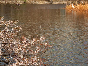 P3276329shuusei.JPG