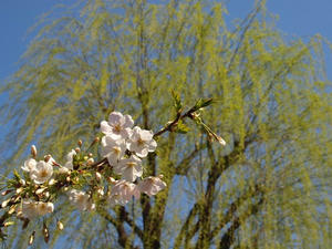 P3276332shuusei.JPG