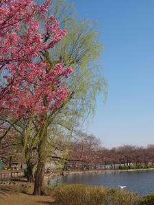 P3276346shuusei.JPG