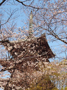 P3276470shuusei.JPG