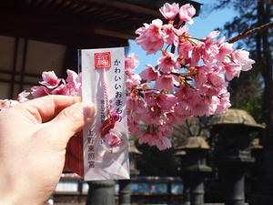 P3276473shuusei.JPG