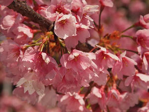 P3276476shuusei.JPG