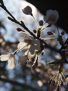 P3276481shuusei.JPG