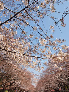 P3276513shuusei.JPG