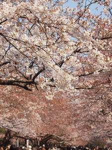 P3276522shuusei.JPG