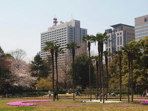 P3276599shuusei.JPG