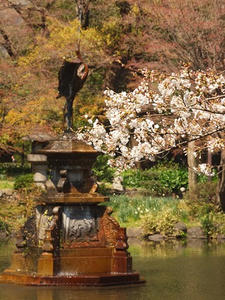 P3276639shuusei2.JPG