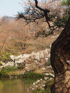 P3276638shuusei.JPG