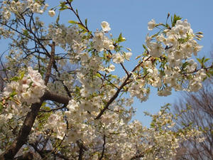 P3276659shuusei.JPG